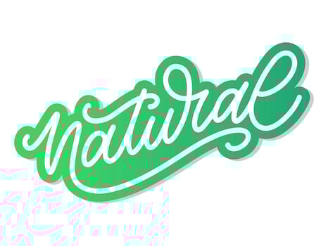 100 Natural Vector Lettering Stamp Illustration slogan calligraphy