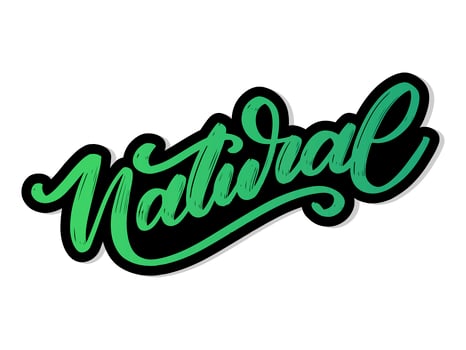 100 Natural Vector Lettering Stamp Illustration slogan calligraphy
