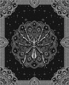illustration spider with mandala ornament pattern vector