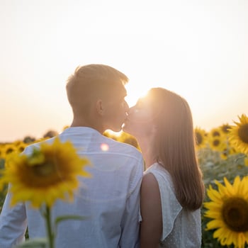Beautiful couple kissing in sunflowers fields photo