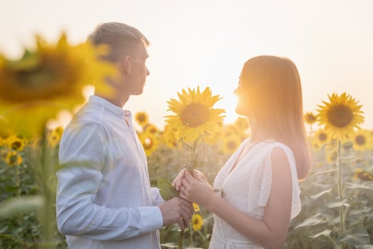 Beautiful couple having fun in sunflowers fields, man giving girlfriend a sunflower photo