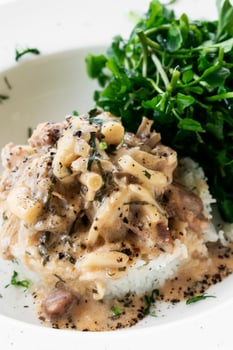 Pork Stroganoff with mushroom cream and paprika sauce gourmet meal photo