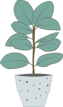 organic flat design plant illustration vector