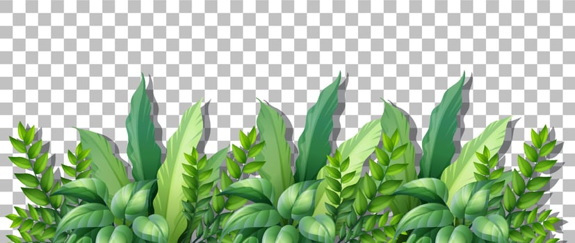 Tropical plant on grid background vector