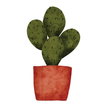 watercolor cactus succulent on pot plant illustration vector