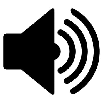 Sound Speaker Icon on white background vector