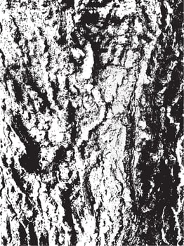 Grunge tree bark texture. Distressed overlay texture. Black and white vector texture