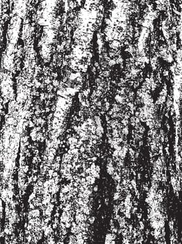 Grunge tree bark texture. Distressed overlay texture. Black and white vector texture
