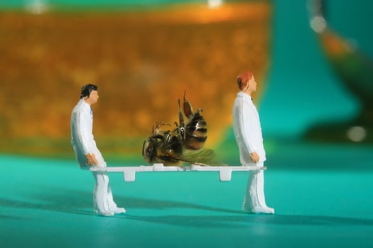 Tiny Miniature Scaled People in Curious Concepts photo