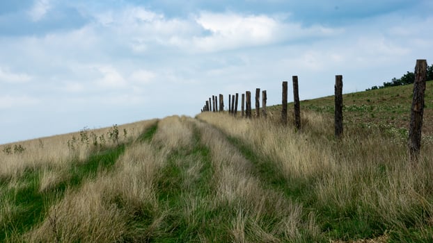 Lane in the field to nowhere photo