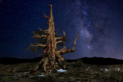 Light Painted Landscape of Camping and Stars photo