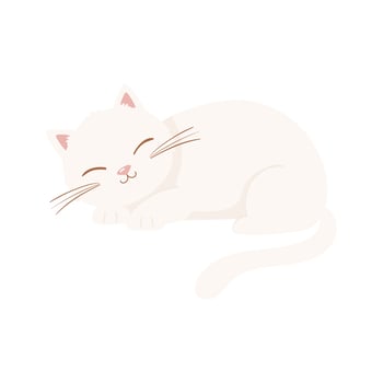 white sleeping cat vector