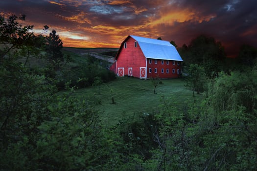 Picturesque Red Barn in Rural in Palouse Washington photo
