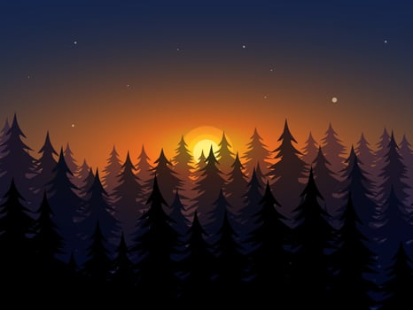 Beautiful Dramatic Sunset in Forest vector