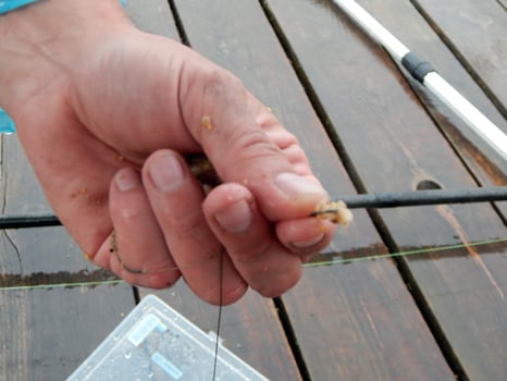 Fishing tackles for fishing rods, floats, nets photo
