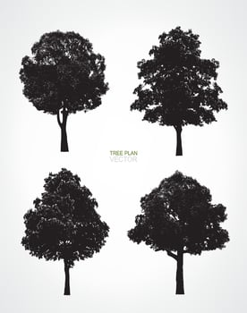 Set of tree silhouettes isolated on white background for landscape design and architectural decoration. Vector. vector