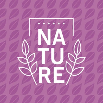 quality nature banner vector
