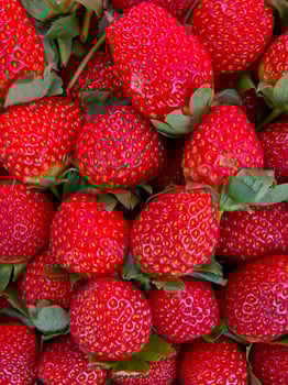 Fresh ripe perfect Juicy strawberry  full frame - Food Frame Background photo