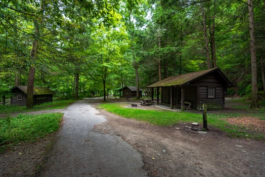 Robert H. Treman State Park - Cabins photo