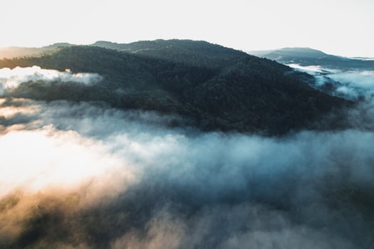 Morning fog in the forest from above photo