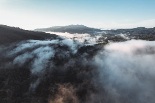 Morning fog in the forest from above photo