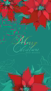 Christmas Poinsettia green silk greeting web stories banner with Best Wishes in an elegant style. Red and green silk leaves on a cool green background. Christmas and New Year celebration gala decor vector