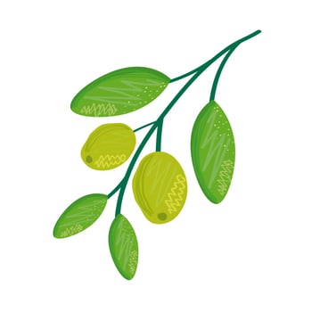 lemons citrus fruits in tree branch vector
