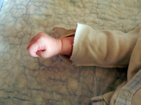 The hand of a child and an adult photo