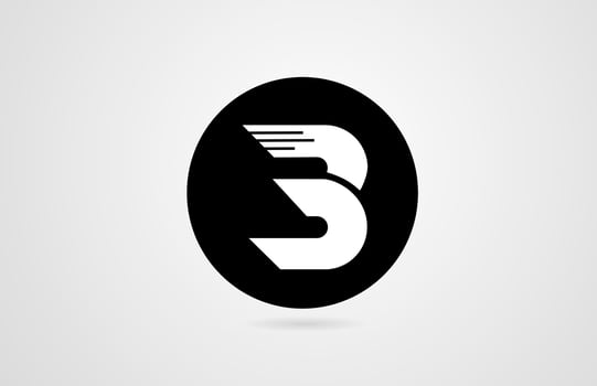 B white alphabet letter black circle company business logo icon design corporate vector