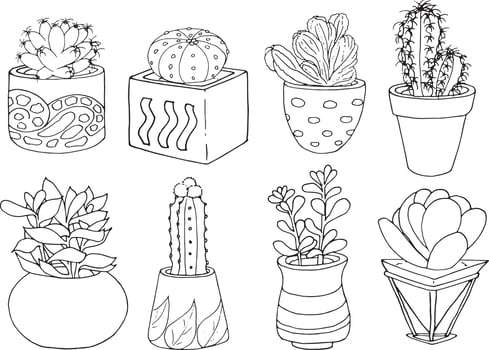 Indoor plants. Cacti and succulents. vector