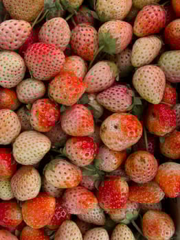 Fresh ripe perfect Juicy strawberry  full frame - Food Frame Background photo