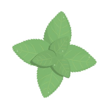 floral leaves botancial vector