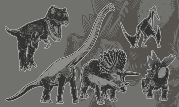 set of Triceratops, Stegosaurus, Pterosaur, Tyranosaurus, Brontosaur. vector
