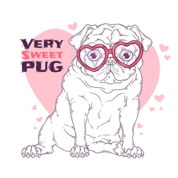 Hand drawn illustration of the cute pug dog in glasses Vector. vector