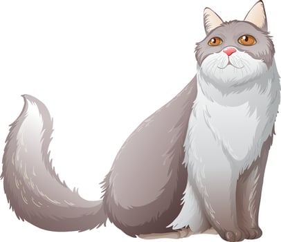 Fluffy persian cat sitting on white background vector