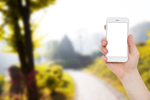 male hand hold white phone, blank screen mobilephone on blurred park background photo