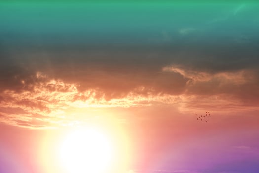 sunset on the purple red aqua pastel cloud on skyline and birds group flying photo