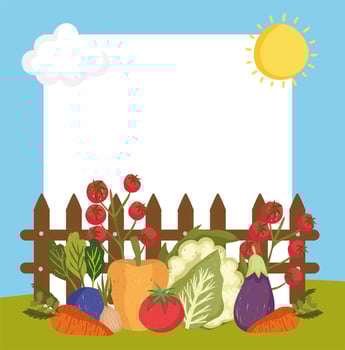 vegetables farm and banner vector