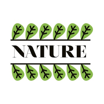 nature leafs plant vector