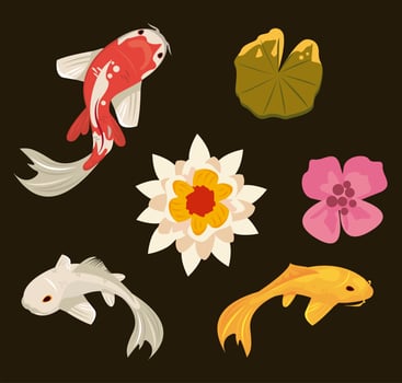 three koi fishes vector