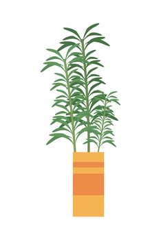 Plant inside orange pot vector