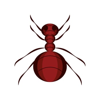 ant animal flat icon vector