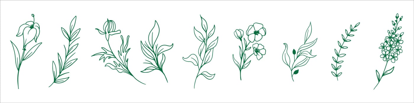 green leaf vector