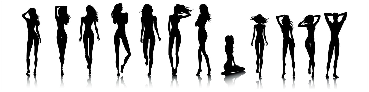 Silhouette of a woman vector