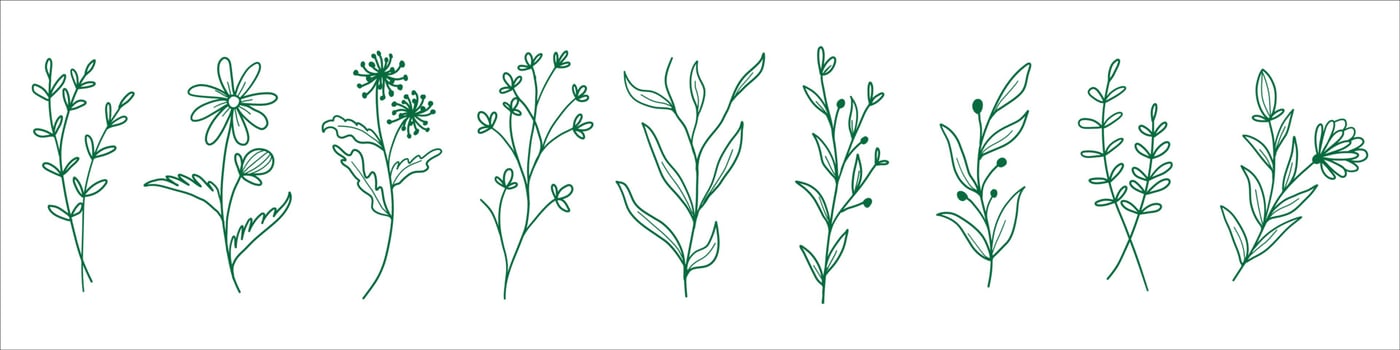 set of botanical leaf vector eps 10