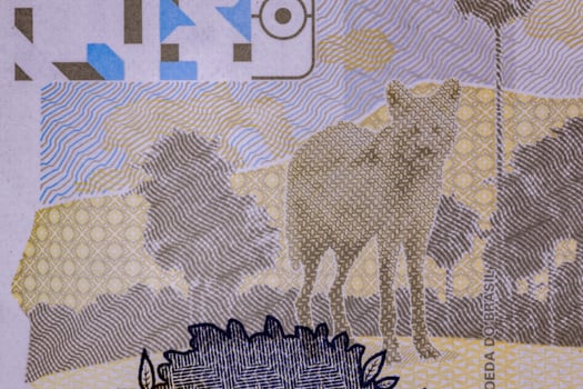 Cassilandia, Mato Grosso do Sul, Brazil, 2021 -new two hundred brazilian real banknote photo