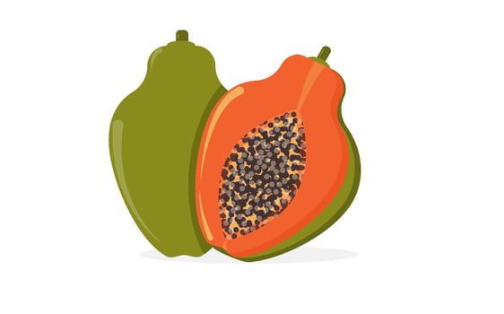 Summer fruits for healthy lifestyle. Papaya, whole fruit and half. Vector illustration