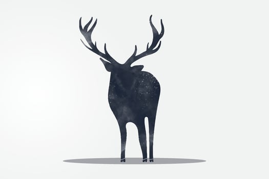 watercolor deer illustration of, isolated hand drawing of the forest animal vector