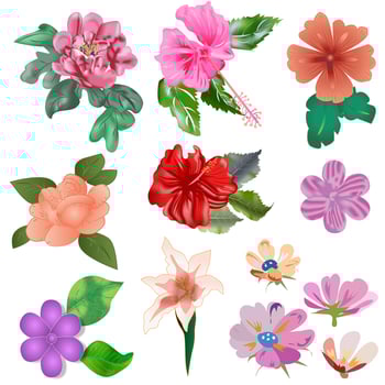 Flower Set Vector Illustration