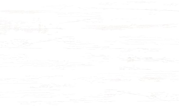White wood pattern and texture for background. Vector. vector